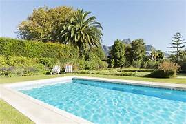 Outdoor swimming pool with clear water surrounded by green lawn and tropical trees on a sunny day