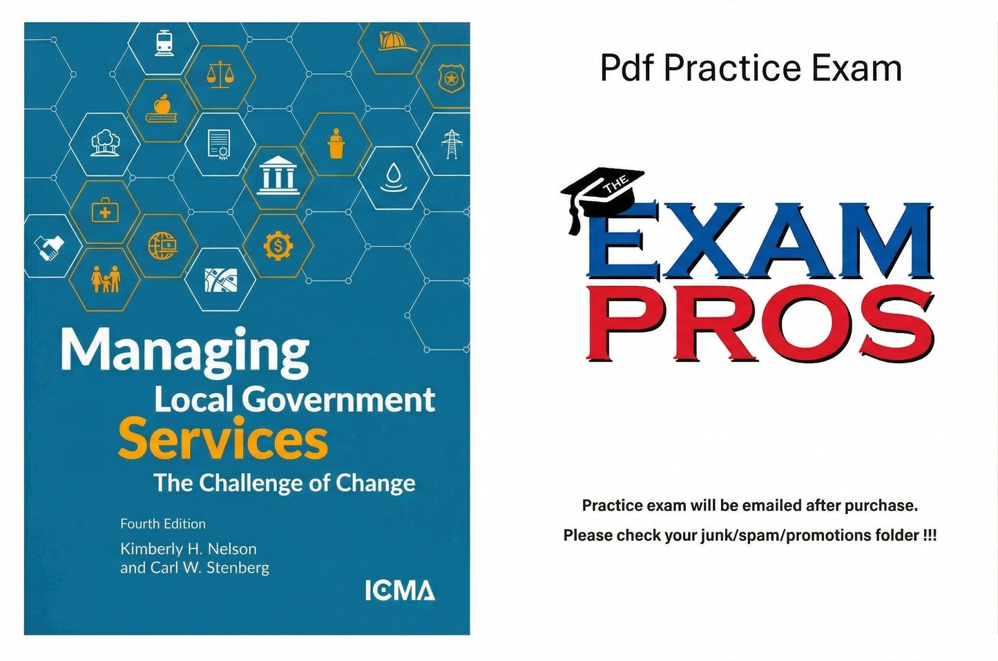 Managing Local Government Services - 4th Ed