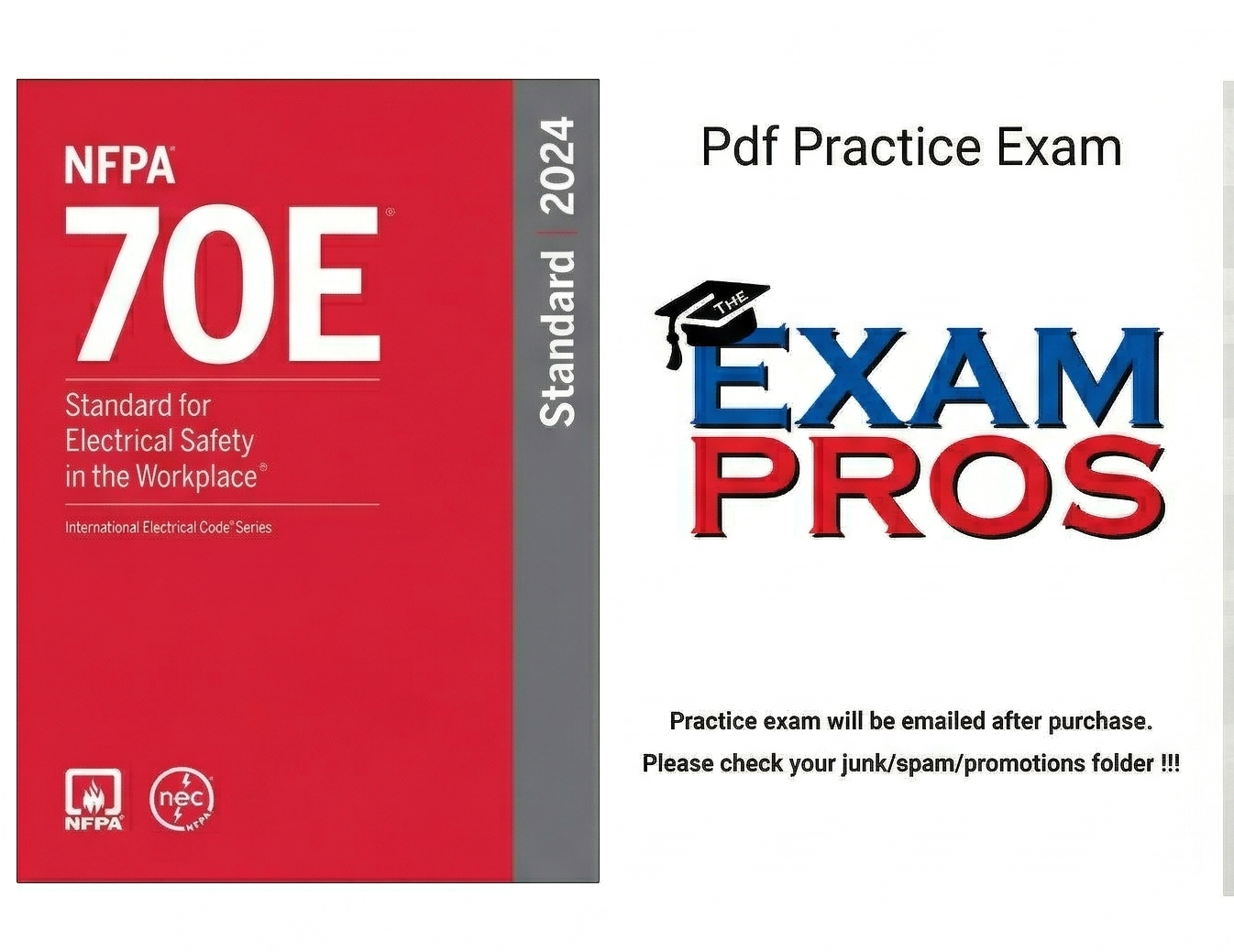 NFPA 70 E 2024