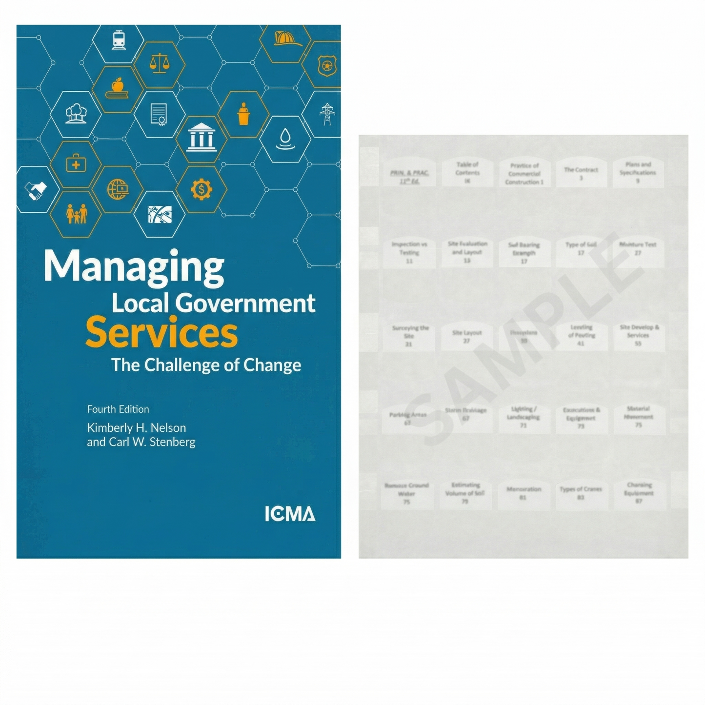 Managing Local Government Services - 4th Ed